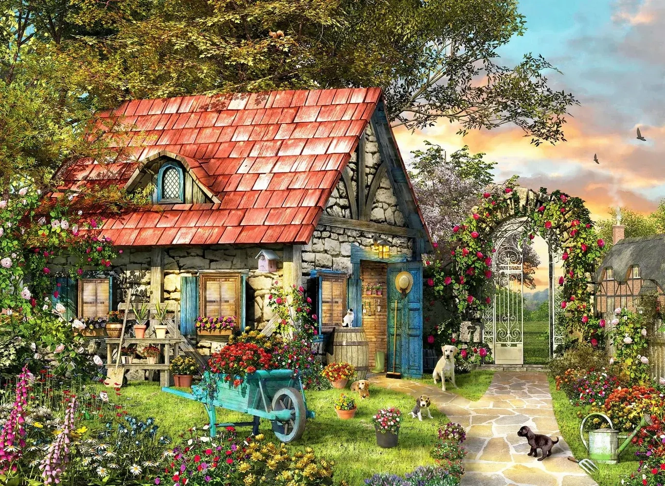 Country Shed