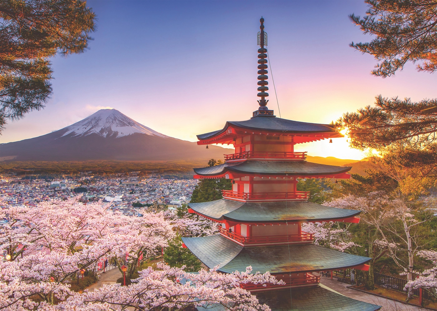 Kirschblüte in Japan