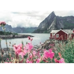 Reine - Lofoten - Norwegen