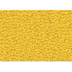 Challenge Pikachu