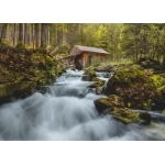 Mühle am Gollinger Wasserfall - Österreich