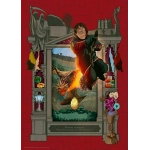Harry Potter und das Trimagische Turnier