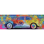 VW Beetle Käfer - Splash Pano