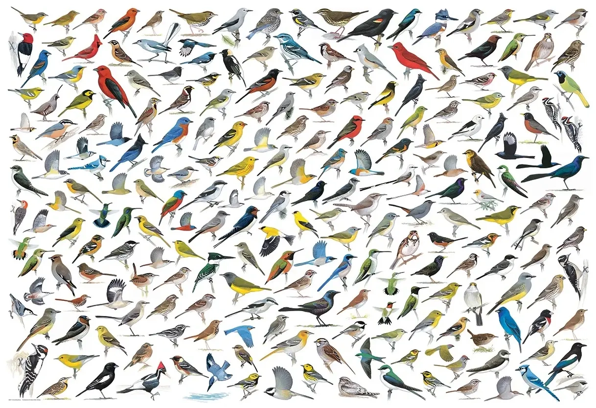 Vogelwelt