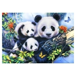 Panda Family