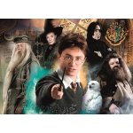 Harry Potter - Charaktere Freunde
