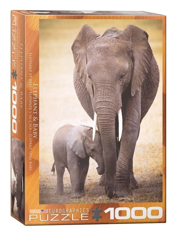 Elefant und Baby