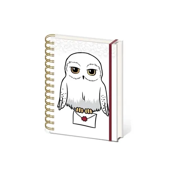 Harry Potter (Special Delivery) A5 Wiro Notebook