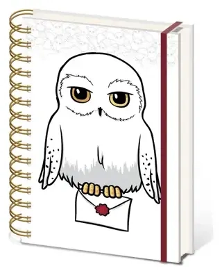 Harry Potter (Special Delivery) A5 Wiro Notebook
