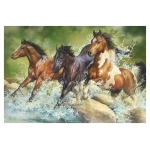 Three Wild Horses