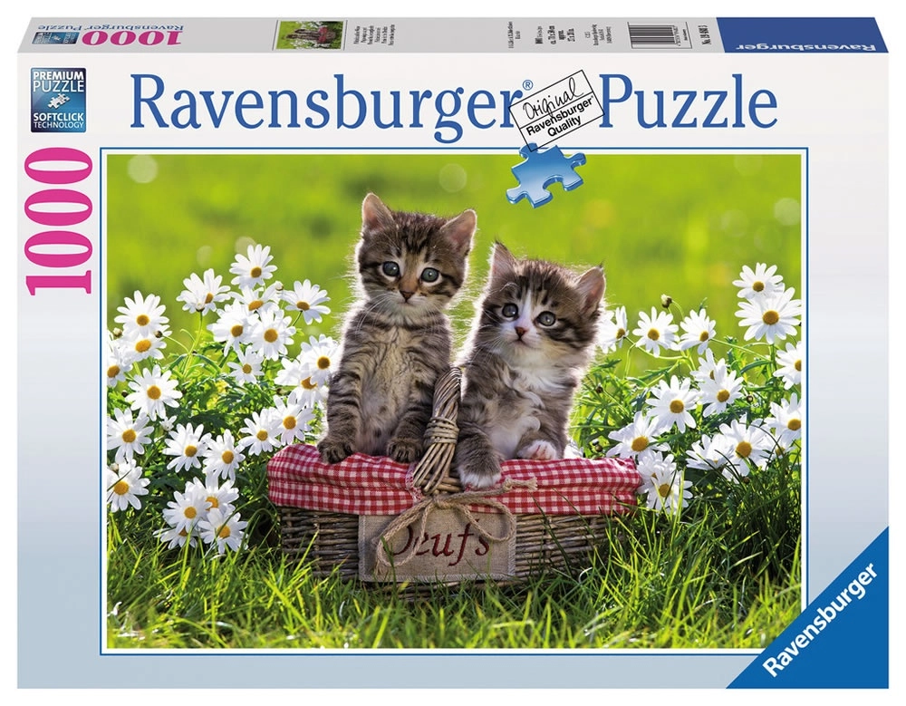 Picknick auf der Wiese
