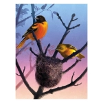 Baltimore Orioles