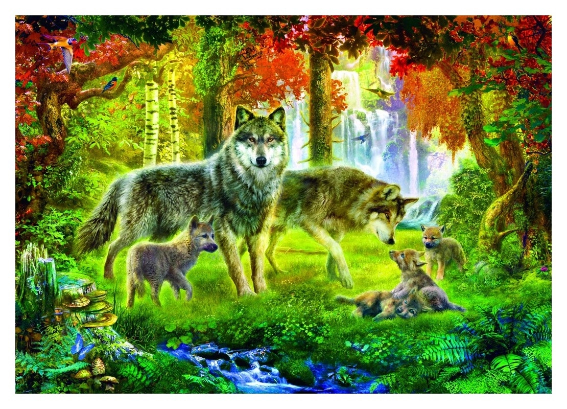 Summer Wolf Family