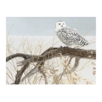 Fallen Willow Snowy Owl