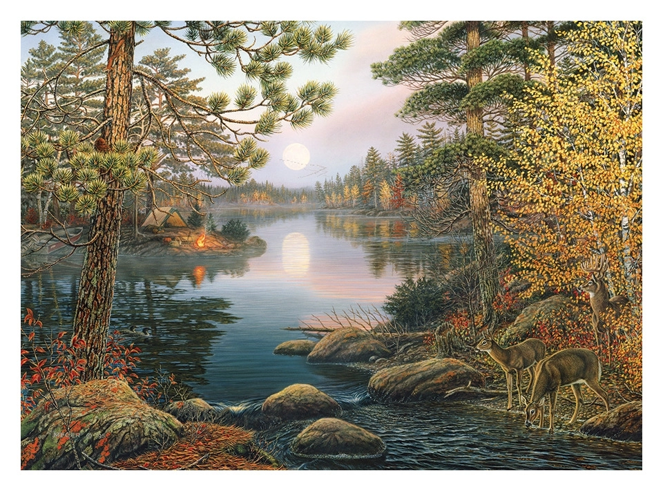 Deer Lake - James A. Meger