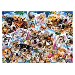 Selfie Pet Collage