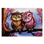 The Owls in Love