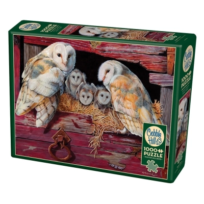 Barn Owls