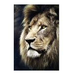 Das Portrait des Löwen