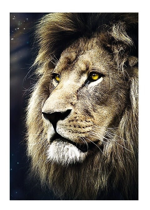 Das Portrait des Löwen