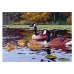Entenfamilie auf dem Teich