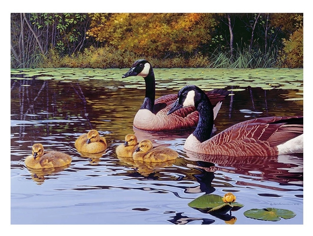 Entenfamilie auf dem Teich
