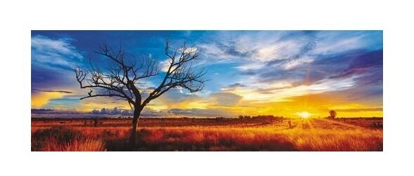 Australien, Oak Wüste im Sonnenuntergang