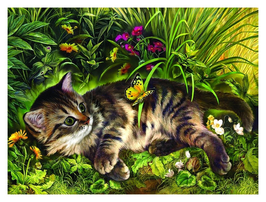 Garden Kitten Play - Nadia Strelkina