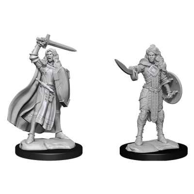 Pathfinder Battles Deep Cuts Miniaturen unbemalt Human Champion Female 