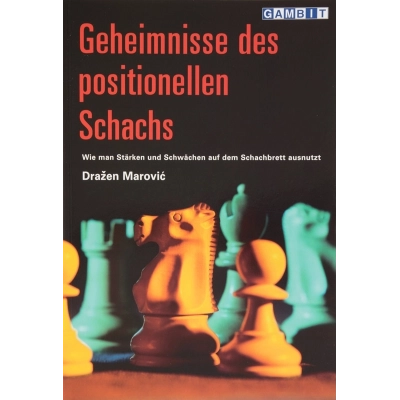 Geheimnisse des positionellen Schachs