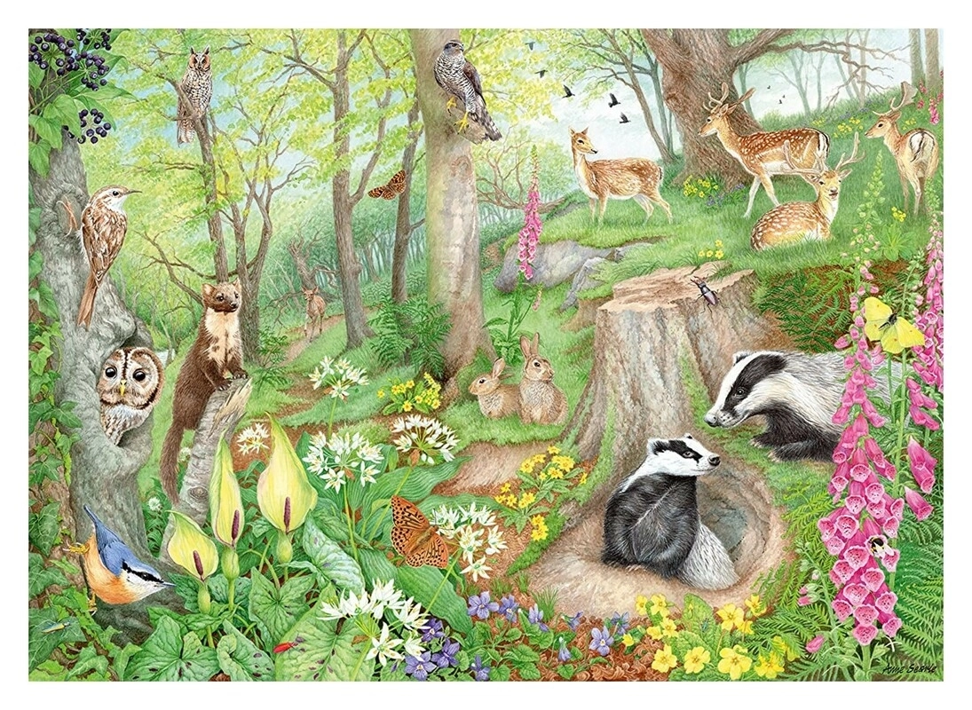 Woodland Wildlife