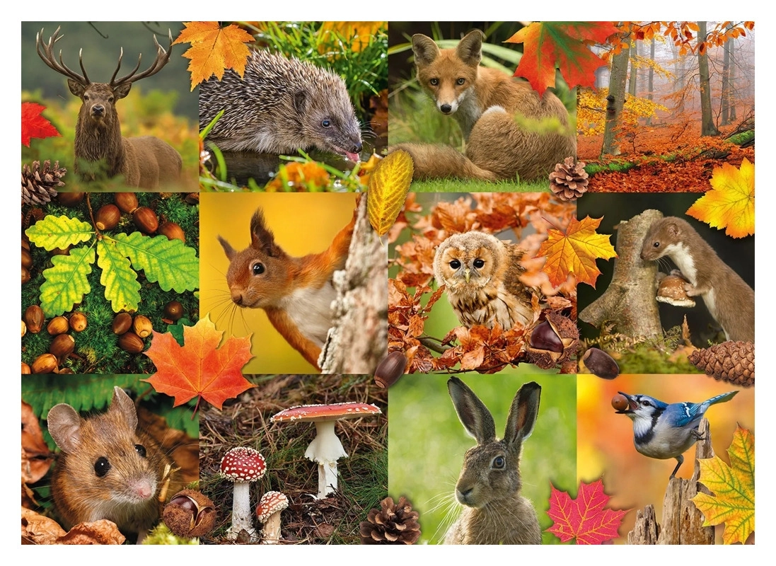Tiere im Herbst