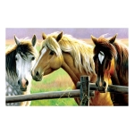 Cynthie Fisher - Horse Fence