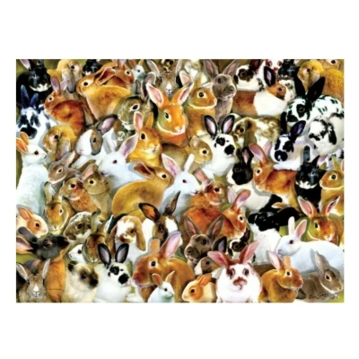 A Bundle of Bunnies - Lori Schory