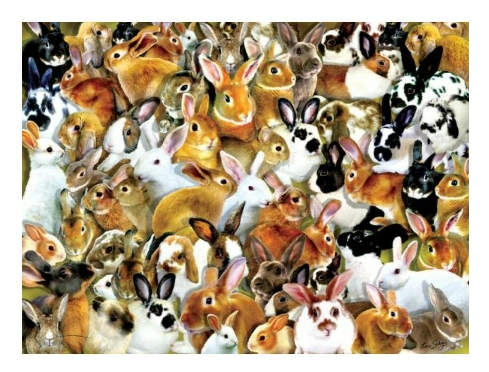 A Bundle of Bunnies - Lori Schory