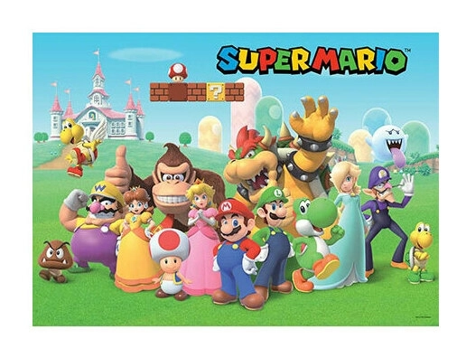 Super Mario Mushroom Kingdom Puzzle