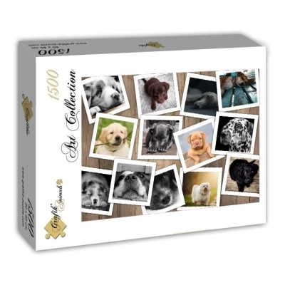 Hunde