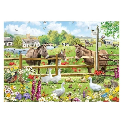 Meadow View - Richard MacNeil