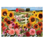 Sunflower Farm - Jo-Ann Richards