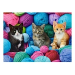 Kittens in Yarn Store