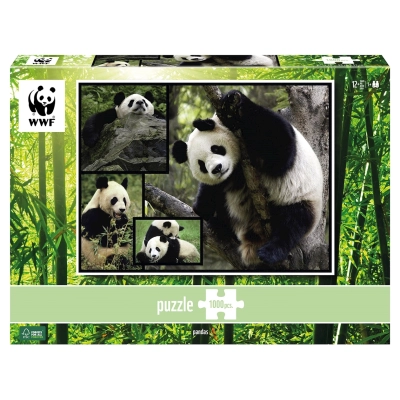 Pandas - Wilde Geschichten - WWF