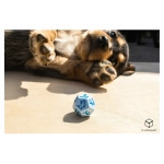 DOGS Dice Set Max