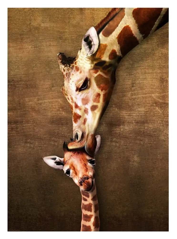 Giraffe Mutterkuss