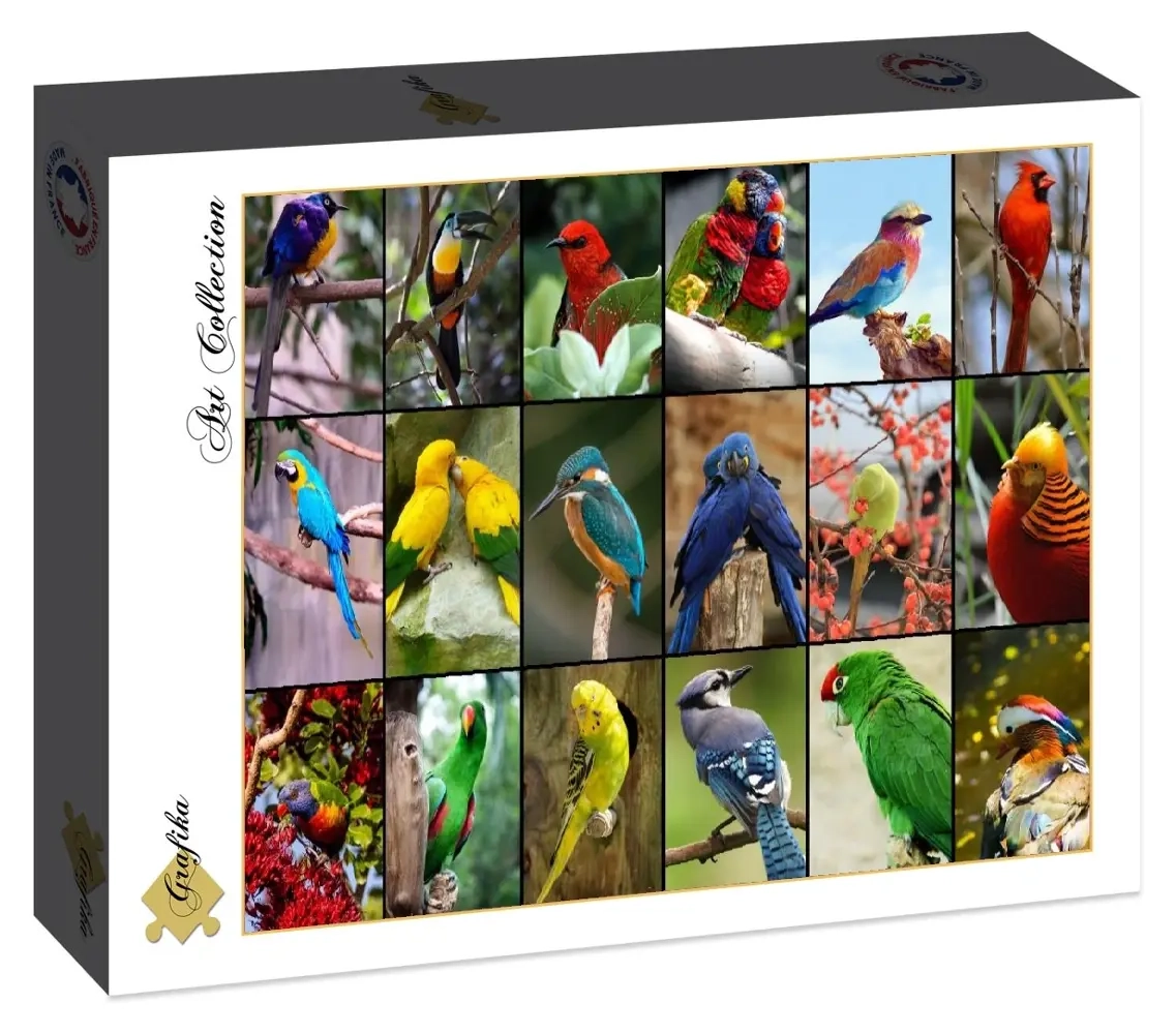 Collage - Die schönsten Vögel der Welt