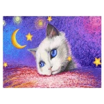 Under the Stars - White Cat