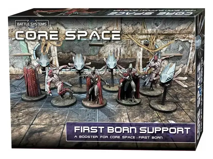 Core Space First Born Support - EN